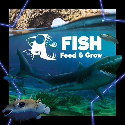 fish feed grow|News .